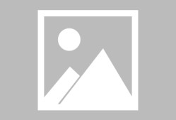 好博体育官方网站-赛前勒沃库森备战荷甲；临场应变细节曝光；质疑声仍在；高层口径保持一致